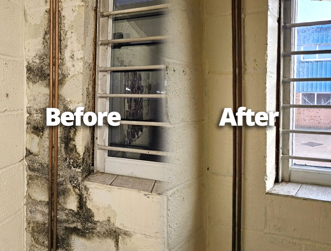 a before and after shot a wall that was damaged with mould