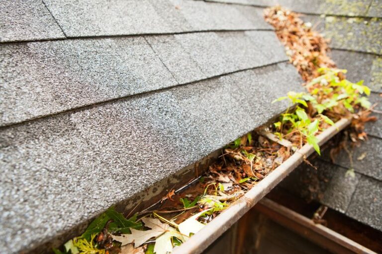 a dirty gutter that needs cleaning and is full of leaves