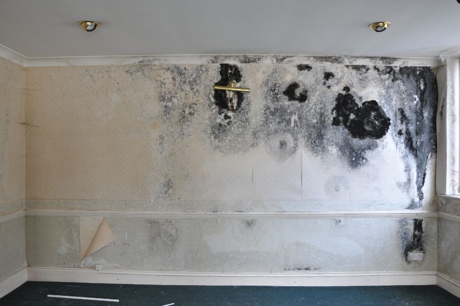 a mouldy wall in a residential home
