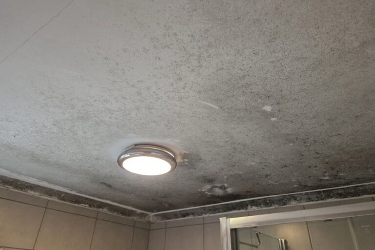 Mould Clean Before