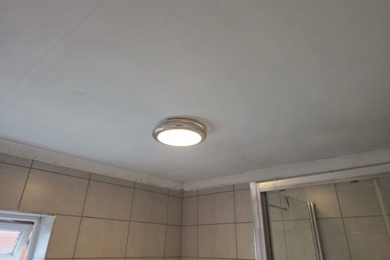 Mould Clean After
